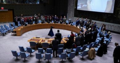 Breakthrough at the UN: Security Council Approves U.S. Gaza Peace Plan