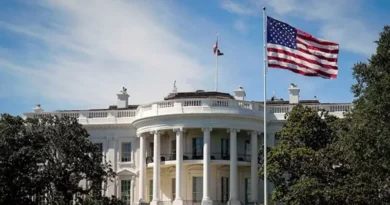 critical minerals list